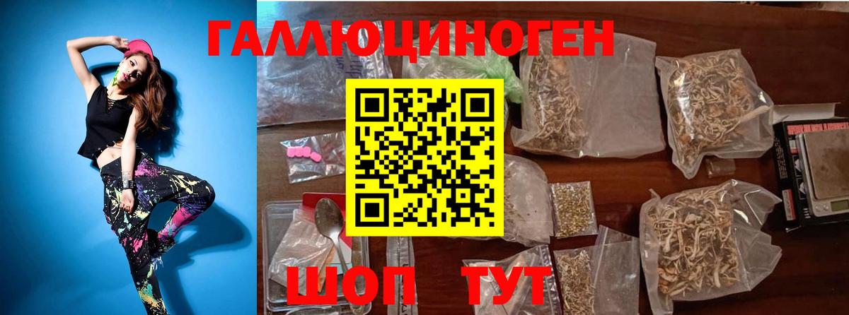 Псилоцибиновые грибы Psilocybe  Псилоцибиновые грибы мицелий  Вход с VPN  Сунжа 