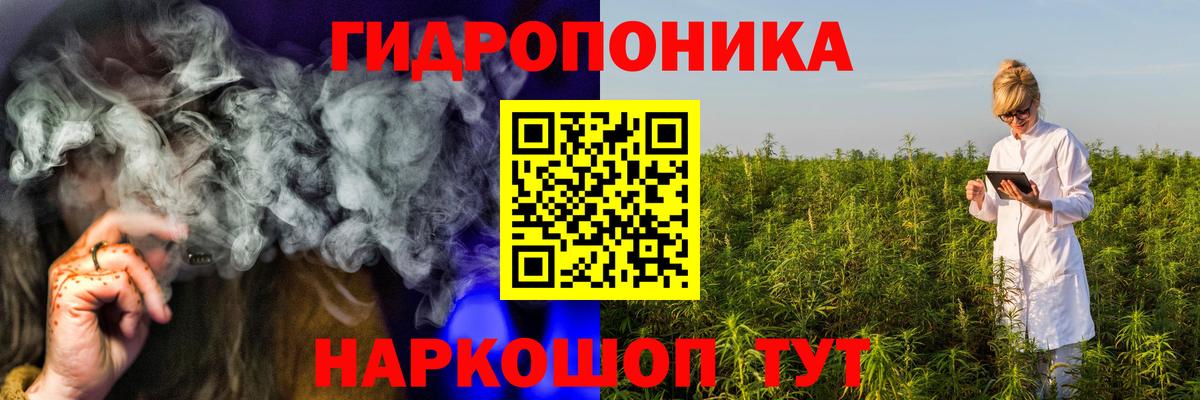 Сунжа  Марихуана планчик  Конопля SATIVA & INDICA  Вход с VPN  Шишки марихуана конопля 